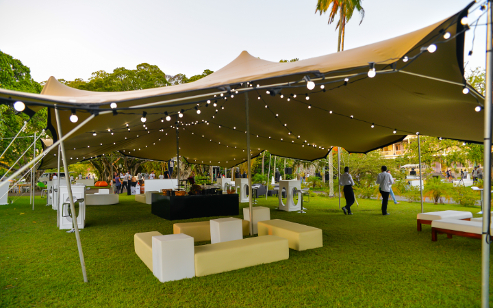 BLINK CARPAS Y EVENTOS
